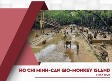 HO CHI MINH – CAN GIO – MONKEY ISLAND 