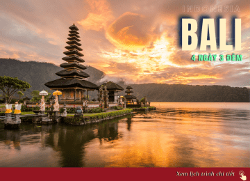  BALI